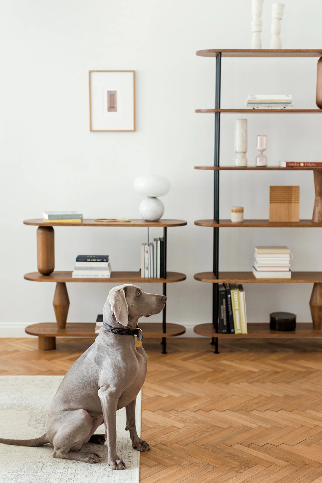 VAZOO 6 bookcase - Image 10