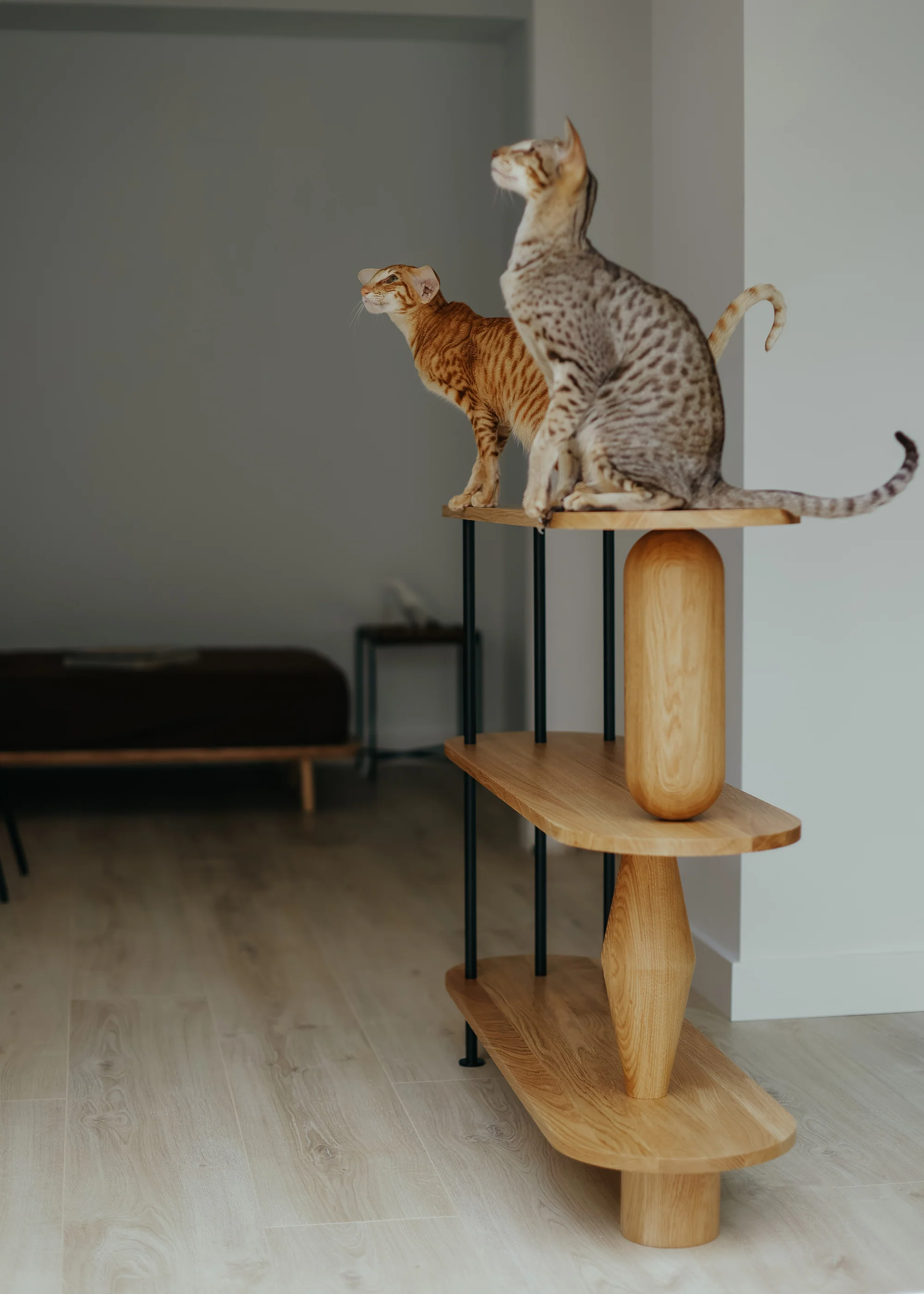 VAZOO 6 bookcase - Image 8